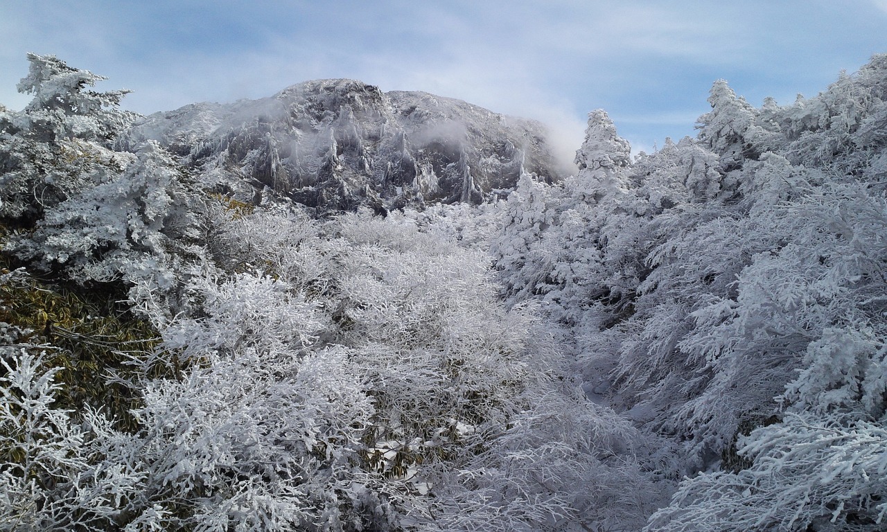 大雪纷飞，给韩国带来混乱也带来欢笑，因为它覆盖了整个韩国。